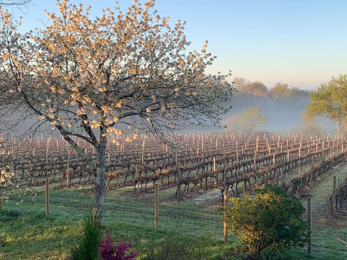 Lauberge De Nogaro Caupenne-d'Armagnac Extérieur photo